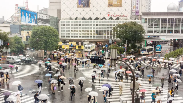 Shibuya Pedestrian Scramble (30003087044) — photograph by tilex